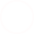 100X Zoom
